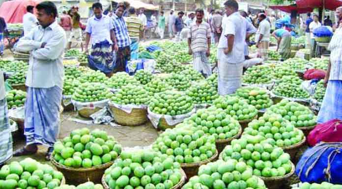 বানেশ্বরে গাড়ি গাড়ি আম, শুধু নেই ক্রেতা